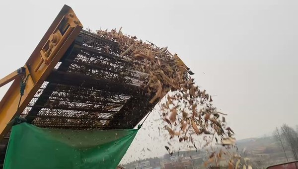 Woody material leaving a discharge conveyor; an illustration of the output handover, not a certified particle-size result. Woody material leaving a discharge conveyor; an illustration of the output handover, not a certified particle-size result.