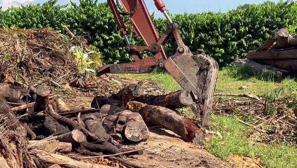 Mixed woody pieces handled by an excavator; feed-geometry illustration only, not a measured municipal capacity test. Mixed woody pieces handled by an excavator; feed-geometry illustration only, not a measured municipal capacity test.